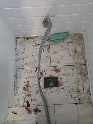 Elite Vieites Cleaning Services