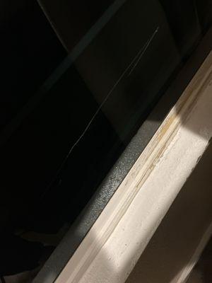 Professional Physical Therapy Associates