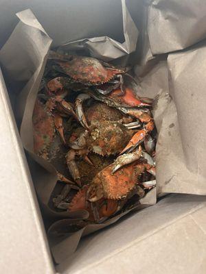 Steamed Crabs