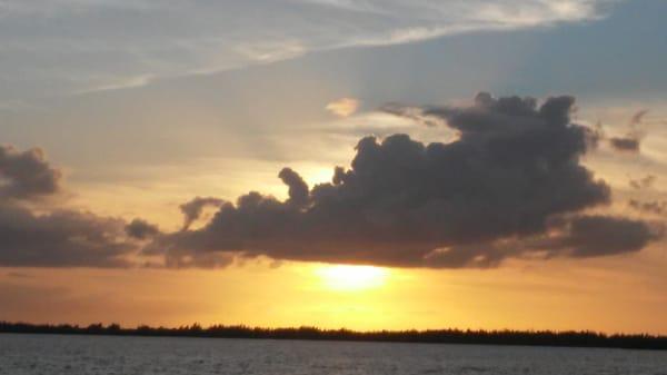Gulf Coast Angler Charters