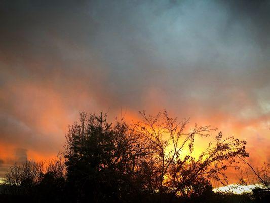 Vista Del Norte Park