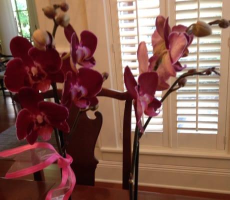 Generations of Bernice