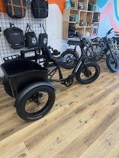 New Fat Tire Trike