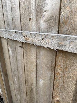 Elyria Fence