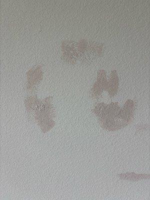 After letting it sit never turned white