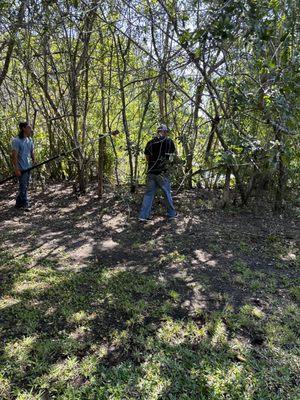 Mcgee landscape and junk removal