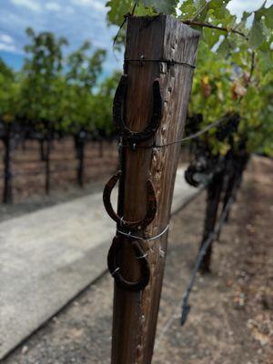 Staglin Family Vineyard