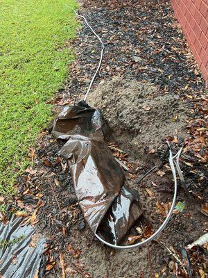 Davis B C Electric Service