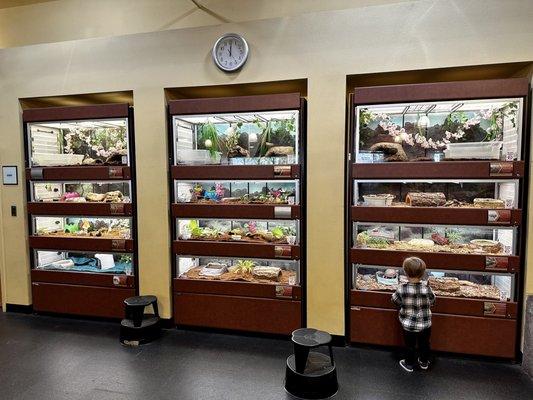 Highland Sam J. Racadio Library & Environmental Learning Center