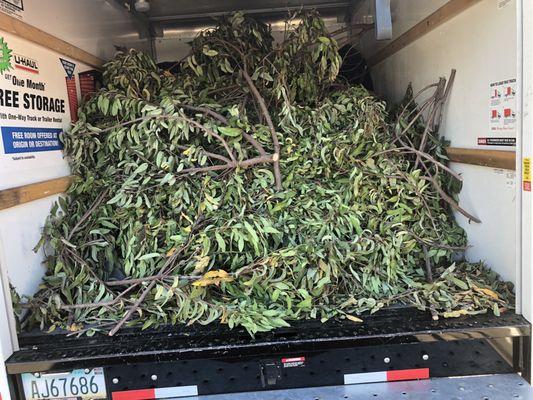 U-Haul Neighborhood Dealer