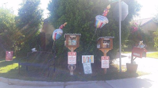 Tracey's Little Free Library