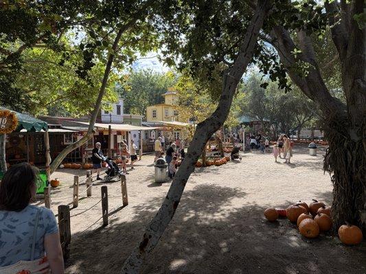 Irvine Park Railroad