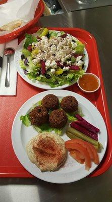 This was my veggie dinner, salad and proteins and the pita bread offered did not have any milk byproducts, love this place