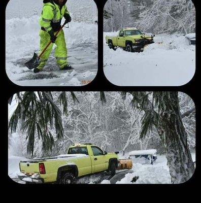 Tip Top Tree Service