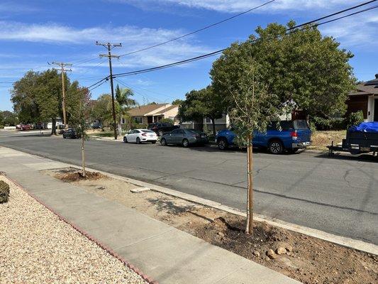 Ryel Landscapes & Home Services