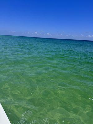 Kristy Marti - Epique Realty