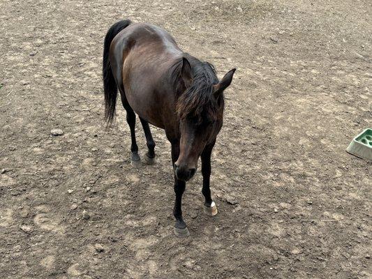 UC Elkus Ranch Environmental Education Center