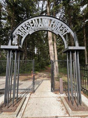 Bresemann Forest Park Trail