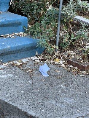 J&S Yard & Landscape Service