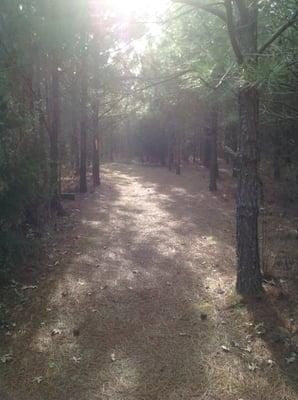 The path to security