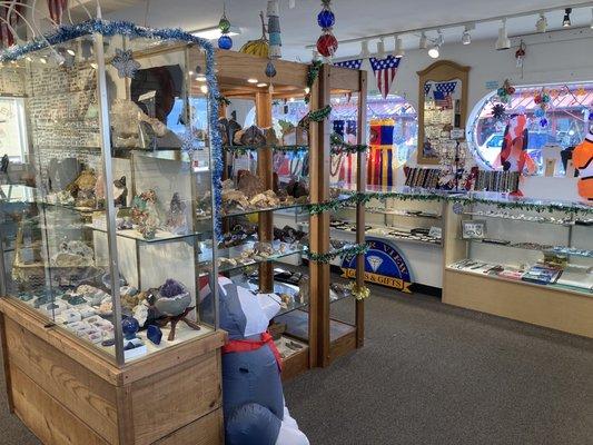 Display specimens, windsocks, hangings