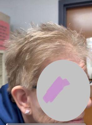 Women's Haircut from Great Clips at Alexis & Lewis. Horrible!