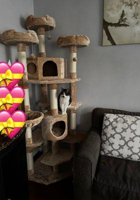 The post is sturdy and really easy to build for 1 person. Prices can't be beat for the quality that you are getting.