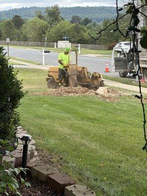 H M Lawn Tree Service