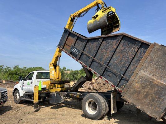 Harrington Tree and Landscaping