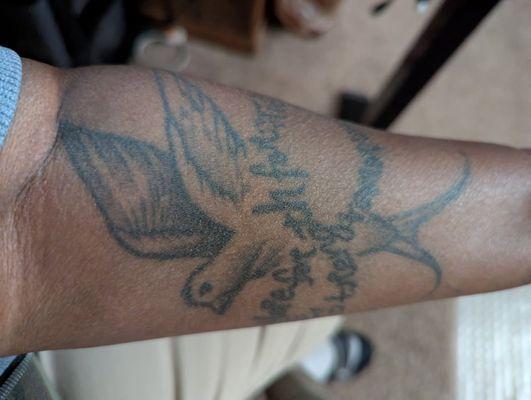 Bird that represents freedom for eternity.