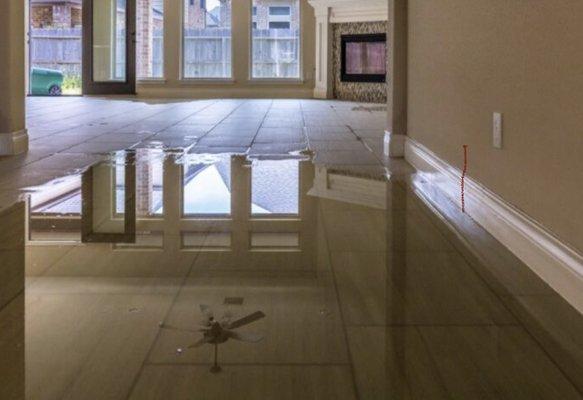 No matter the size of the damage we got you covered !