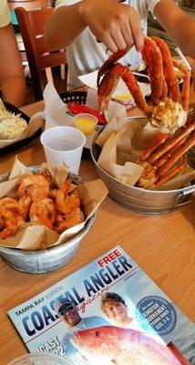 Groupers On The Gulf