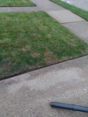Stan the Man landscaping