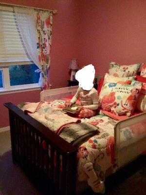 DiPaolo Painting LLC