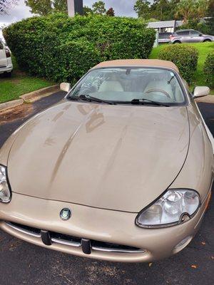 The Prestige Gallery