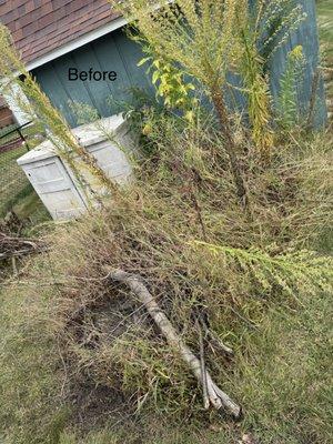 Lozano Landscaping Innovations