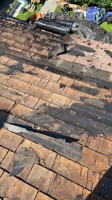 Roof & Home Construction