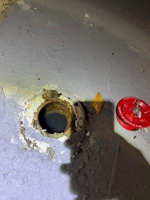 Lakewood Handyman Services