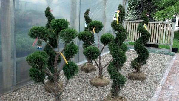 Clark’s Greenhouse & Nursery