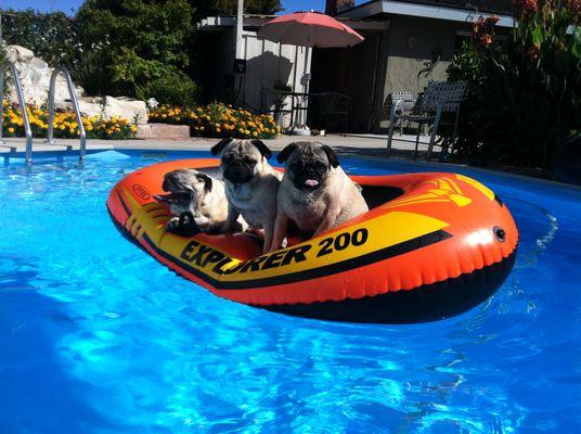 The Poolyard & Spa Outlet