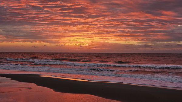 CMC Signature Notary Services