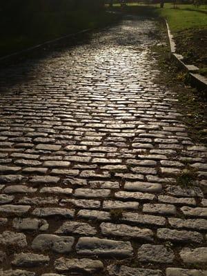 Glendinning Rock Garden