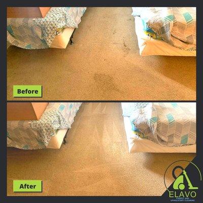Elavo Carpet Cleaning