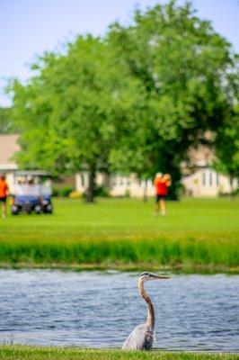 The Oaks At River's Edge