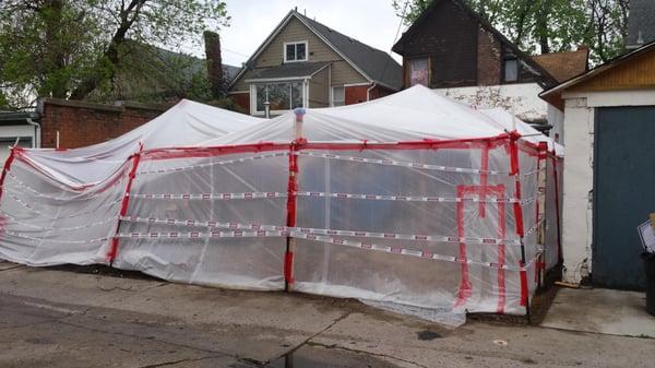 Back yard fully contained