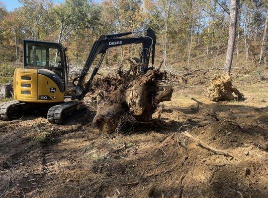Privateer Logging & Land Clearing