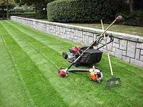 David's Lawn & Garden Service