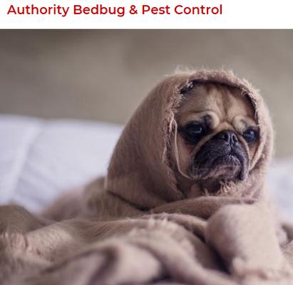 Authority Bedbug & Pest Control