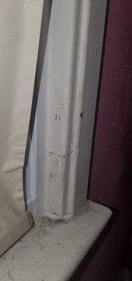 Five Star Windows & Doors