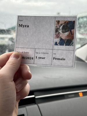 The name tag that they use to explain the little pigs origins